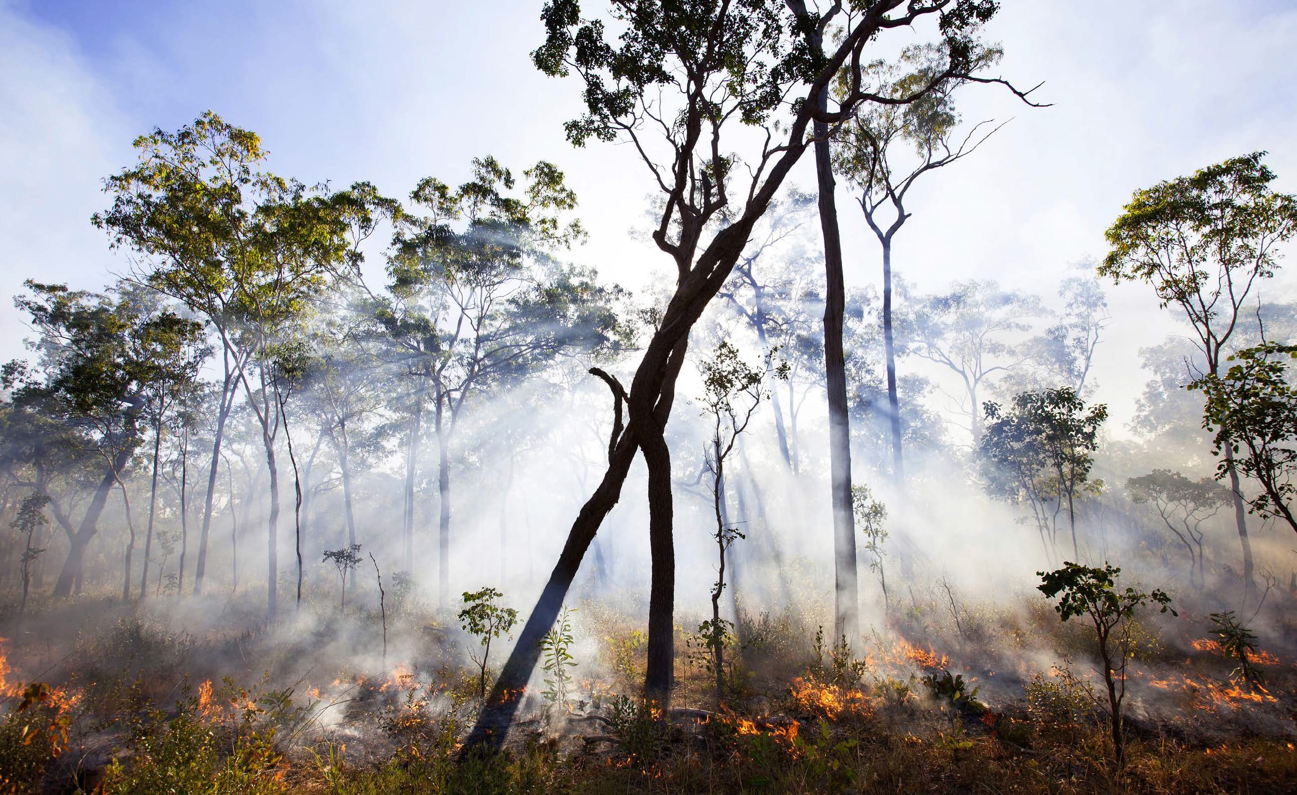 Arnhem Land Fire Abatement