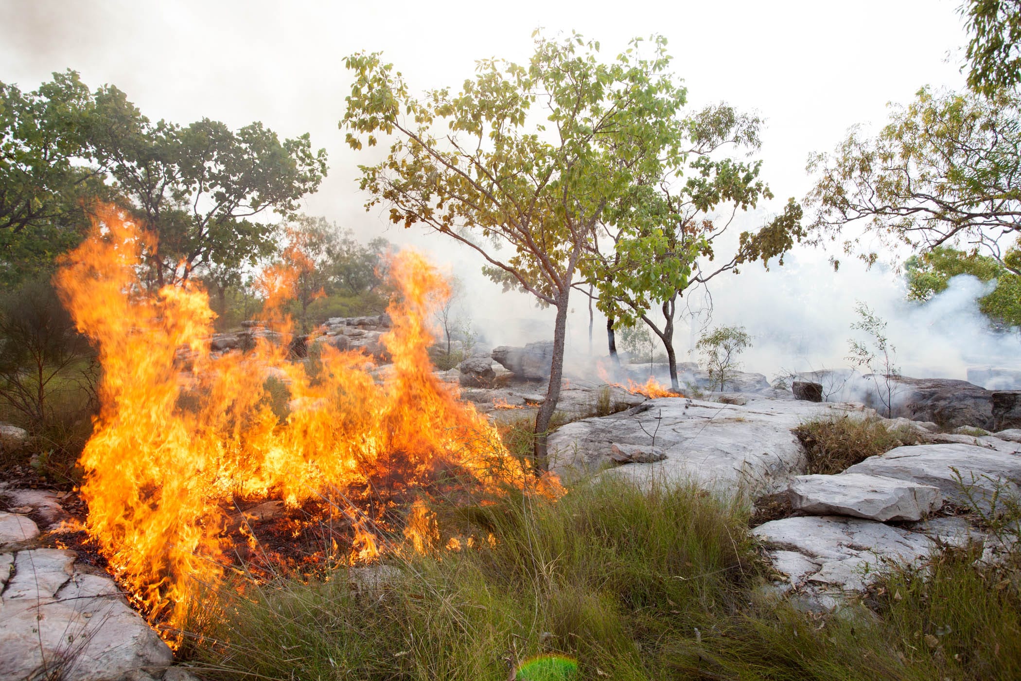 Savanna Burning Methodology